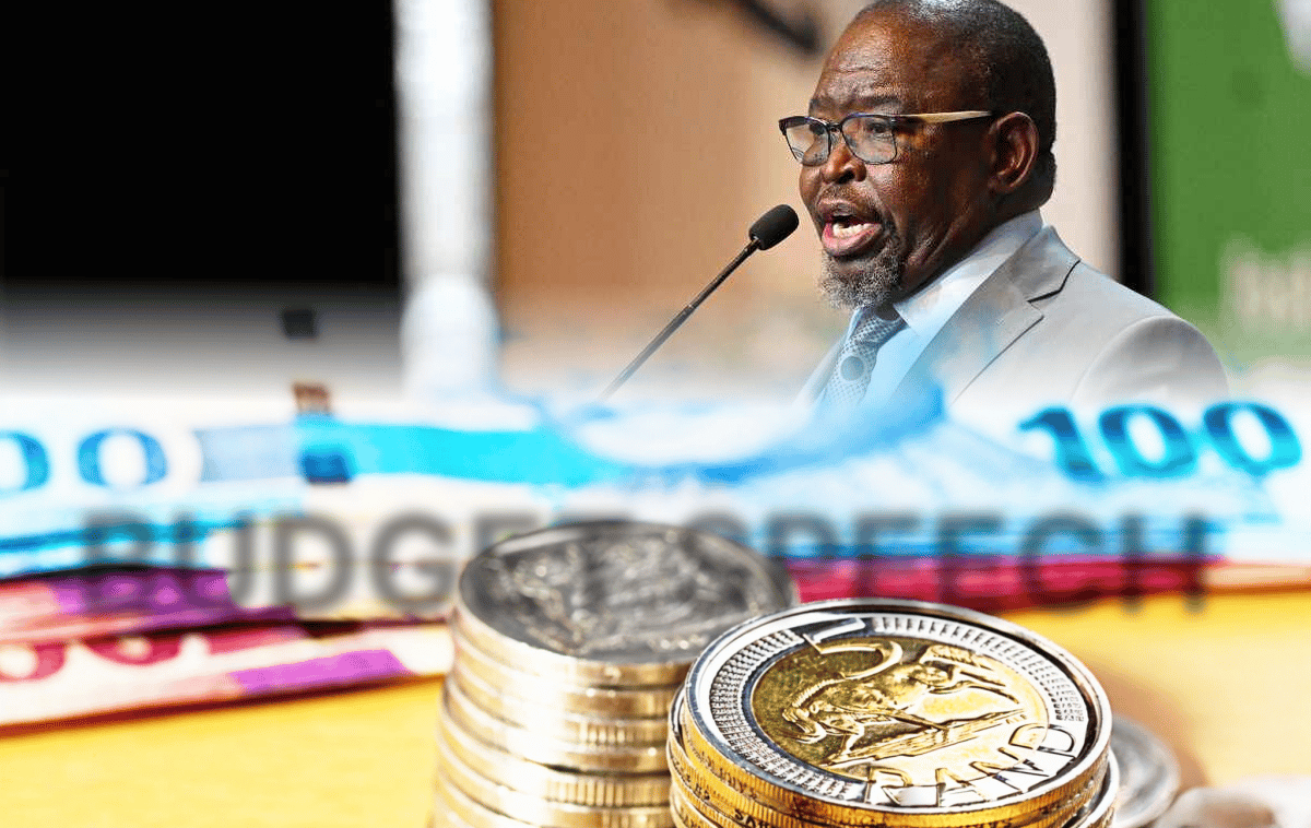 Minster Enough Godongwana delivering budget speech